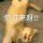 徐亚星