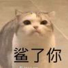 不愿意抛头露面的菠萝的头像