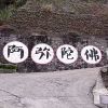 向禄向裕又向丰的头像