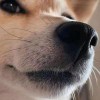 。。。。。的头像