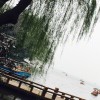 晨晨物语的头像
