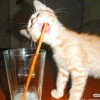 沁若墨染🍹的头像