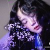 浮生妖的头像