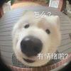 梧桐落，非吾心的头像