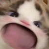 书友974858969的头像