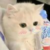 闫献坤的头像