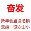 奔跑的乌龟的头像