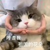 美丽女孩的头像