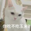 李圣经的头像