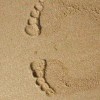 浮生若梦的头像