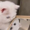 书友1018317455的头像
