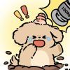 无谓的头像