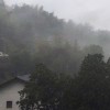 单于的头像