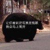 但却有我这个好友的头像