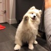 梓七的头像