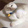 微笑的妹子^_^的头像