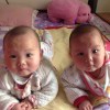 书友951163696的头像