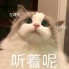 ✎﹏ℳa³Â小迷糊的头像