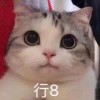 撑死算工伤麽的头像