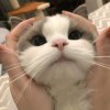 Daisy的头像