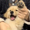 －的头像