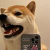 纹梦的头像