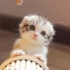 SomeTime☆的头像