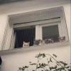 书友1015086507的头像