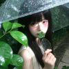 无缘的头像
