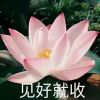 忧.的头像