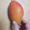 思燑的头像