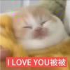 ♛的头像