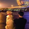 三石鹏，发布寻狗启示热爱宠物狗狗，希望流浪狗回家的狗主人。