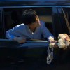 江湖骗子，发布寻狗启示热爱宠物狗狗，希望流浪狗回家的狗主人。