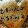 Romg