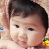 稀有懒兔