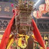 qd木材