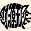 走过不错过