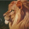 lion007