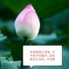 弥陀天下