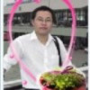 Hello.树先生