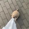 不遠萬里