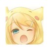 冬眠的貓