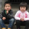 流浪的馬兒