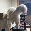 灰白色豹斑灰巖