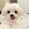    綿綿m