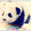 Ding?yaoyao