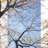 http://thirdqq.qlogo.cn/qqapp/101260148/01221E0AD2F22EDBC2B28804D50C09DC/100