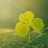 http://thirdqq.qlogo.cn/qqapp/101260148/0504B1B6F626A39DCB3F2C9906ED61BC/100
