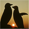 http://thirdqq.qlogo.cn/qqapp/101260148/12930EDF3C5619FE74B98DED628A899D/100